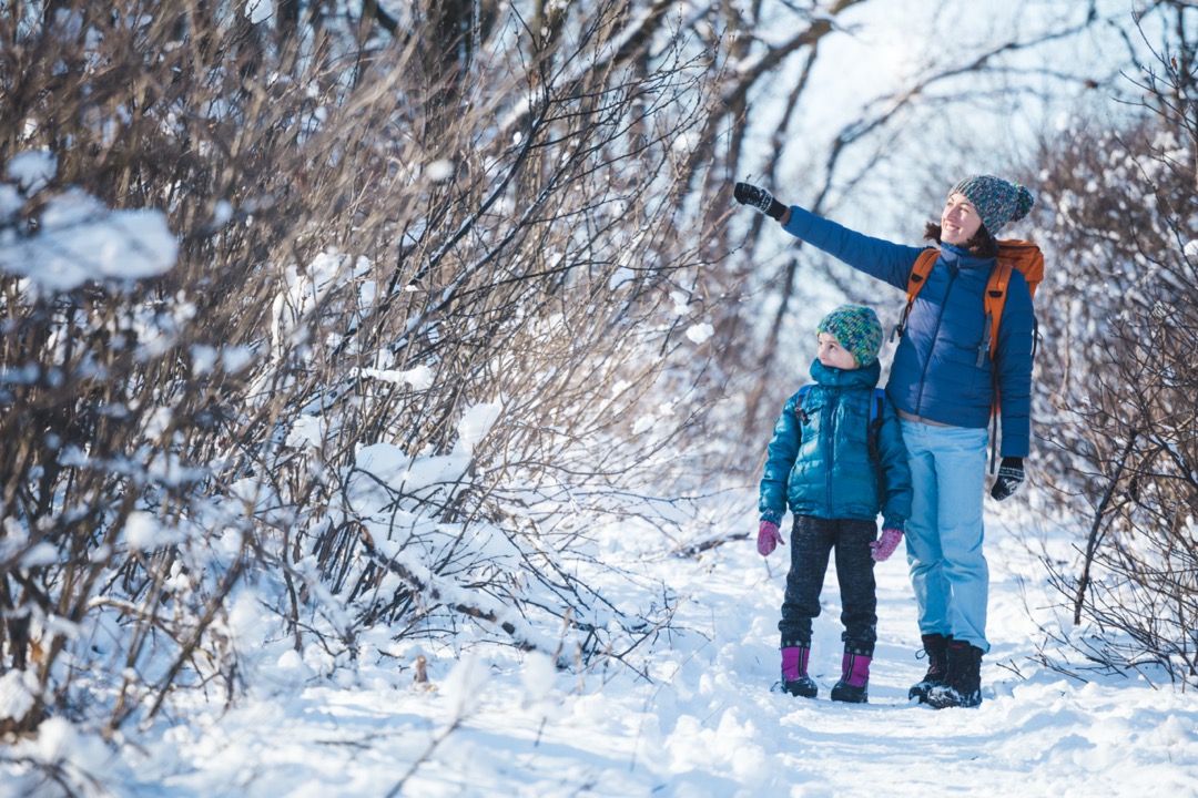 5 Winter Activities to Explore in Lac La Biche Best Canadian Motor Inns