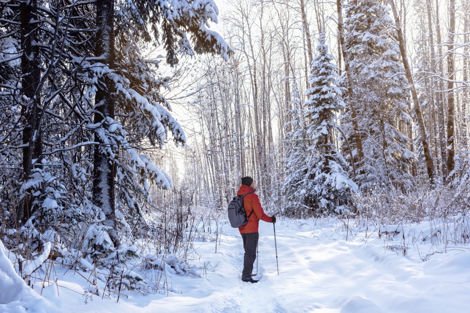 Essential Winter Activities to Try in Lloydminster | BCMInns